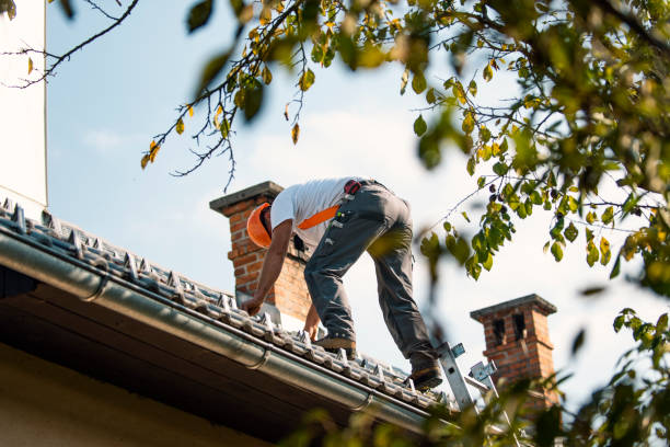 Best Metal Roofing Contractor  in Marienville, PA