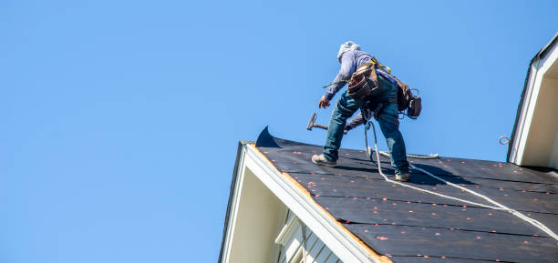 Best Best Roofing Contractors  in Marienville, PA